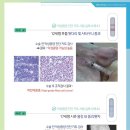 꼬마동물병원 이미지