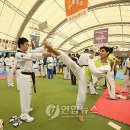 반딧불태권도체육관 이미지