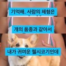 범돈 - 안양시 동안구 평촌대로223번길 48 | 범돈