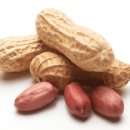 땅콩이네 이미지