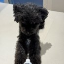 (주)메디케어플러스 이미지