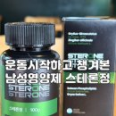 스테론정 후기, 운동 시작하고 챙겨본 40대 남성 영양 루틴