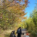 태전공원 이미지