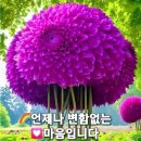 강원석법무사