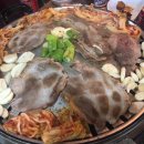 우드님프 이미지
