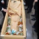 고령대가야장례식장 신뢰만족도 1위선정 ...
