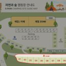 자연과숲 - 15251 | 자연과숲