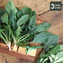 삼촌유통 이미지