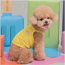 펫피드글로벌 | [월간네펫🐶] 여름 산책 특집 끝내주는 아이템 Best4(ft.쿨나시)