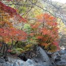 산중농원 이미지