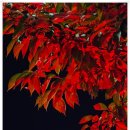 정인성내과의원 이미지