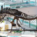 서대문자연사박물관 이미지