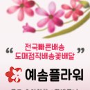 강동경희대학교병원장례식장근조화환꽃집 이미지