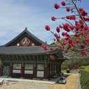 운수사 - 1633 | 운수사