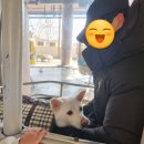 갓바위 켄넬 네이버블로그