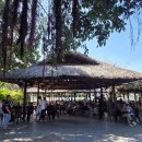 7310 | 나트랑 가볼 만한 곳 혼총곶 입장료부터 카페 후기