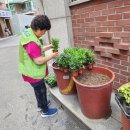 군자경로당 이미지