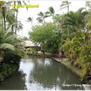 RAINBOW CASTLE 이미지