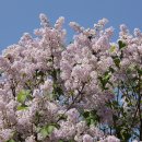 경안여자고등학교 이미지