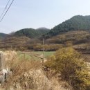 의성봄꽃농원