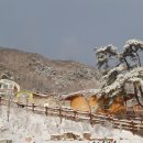 문경새재국민여가캠핑장 이미지