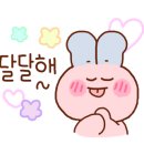 버블앤샷