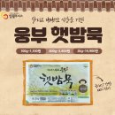 웅부푸디스