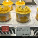 윤이케이크 | [화성동탄] 동탄 케이크 맛집 쌍둥이 첫 생일 기념 망고케이크, 수리르케이크 솔직후기