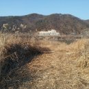봉황사우나
