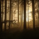 바람과 별 이미지