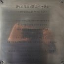 울도해변민박 | (옹진)한국의 갈라파고스 굴업도(掘嶪島)-백패킹 3대성지-