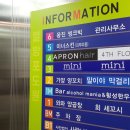 APRON hair(에이프런헤어)