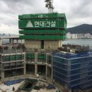 현대8호 이미지