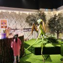 도전 역사 탐험대 | [인천] 월미도 신상 곤충체험관 &lt;와일드벅스 곤충탐험대&gt; 7살 아이와 방문 후기