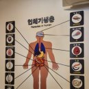 기생충박물관 이미지