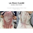 지성동물병원 이미지