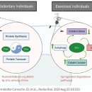 아연, 면역체계에 중요한 역할 아연(Zinc) 이미지