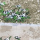 천아트 이미지