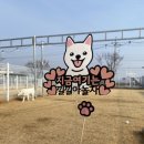 삼복이네 수제간식 이미지