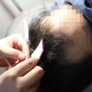 구스헤어 이미지