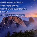 9월5일(목)숭이님들 출석하세용 이미지