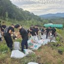 꿀벌목장 이미지