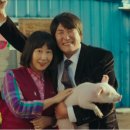 최광호농장 이미지