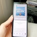 타이거여행사 주식회사 | 인천발리항공권 20만 원대 나는 싱가포르항공 80만원에 다녀옴