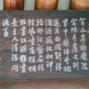용호정 Daum카페