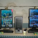 바다이야기 PC 게임장 이미지