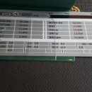 이바돔제주도야지 이미지