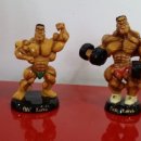 캐리비안 휘트니스 이미지