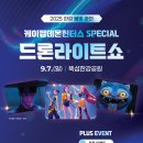 한강 밤하늘에 &#39;케데헌&#39; 뜬다…드론라이트쇼 7일 시작 이미지