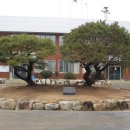 수북면사무소 이미지